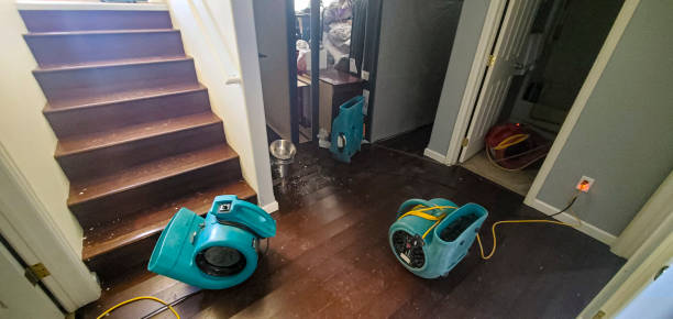 Carpet water damage restoration in Nederland, TX