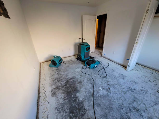 Best Water damage restoration near me  in Nederland, TX