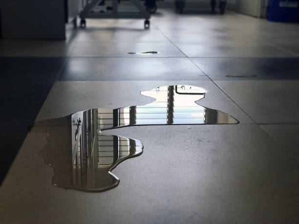 Best Water damage cleanup near me  in Nederland, TX
