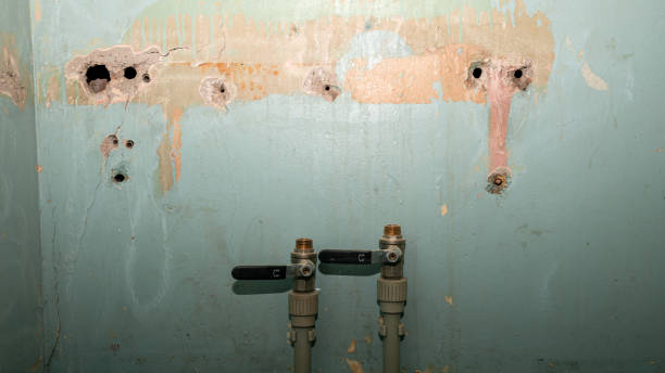 Best 24/7 water damage repair  in Nederland, TX