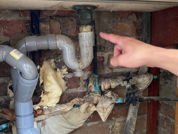 Best Basement water damage restoration  in Nederland, TX